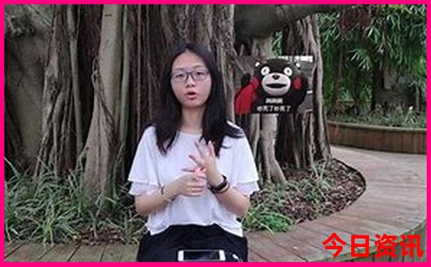 旅行社报团旅游在哪个平台
